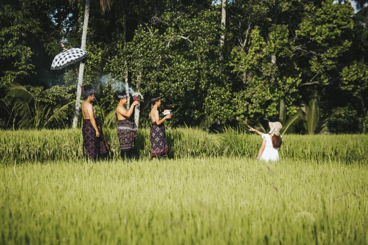 Sunshine Villas Ubud Εξωτερικό φωτογραφία